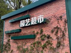 -新江湾城公园