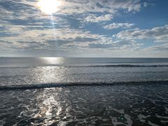 -日照海滨国家森林公园