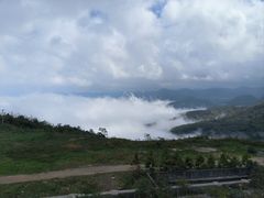 -武陵山森林公园