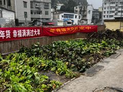 -湘力力小院·鱼汤泡饭(枫林路店)