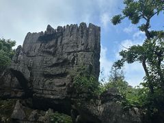 -山王坪喀斯特国家生态公园