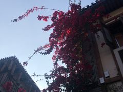 -磁器口古镇