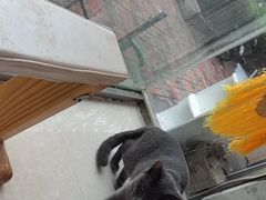 -瑞派福兴宠物医院犬猫全科·骨科·中西医结合(河东店)