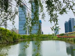-艾溪湖湿地公园