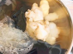 石花膏-爱啊石花膏