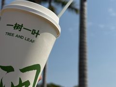 -一树一叶·福建茶档(石鼓路店)