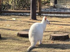 -茅山东方盐湖城景区