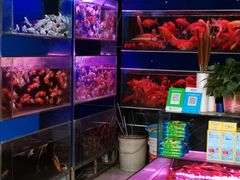 -秦美花卉(天朗·莱茵小城2期店)