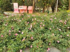 -人民公园(罗湖区)