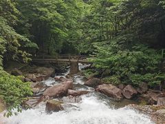 -湖州龙王山景区