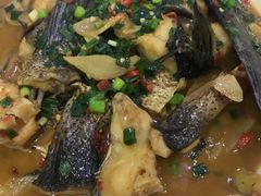 -全乐鱼馆·淳牌有机鱼直营店