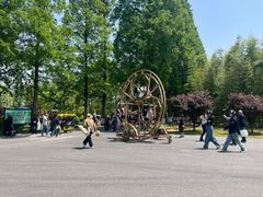 -黄海国家森林公园