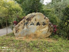 -广州白江湖森林公园