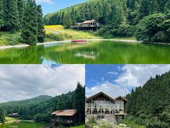 -武陵山森林公园