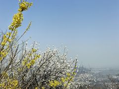 -北京西山国家森林公园