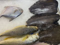 -金沙滩海鲜餐厅·海肠捞饭·手工水饺(梅江龙水园店)