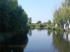 -白洋淀风景区