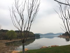 -东湖落雁景区