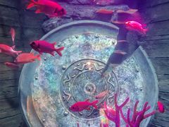 -沈阳海洋探索中心