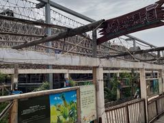 -呀路古热带植物园