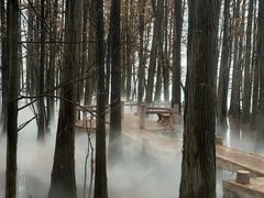 -东湖落雁景区