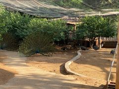 -石家庄市动物园