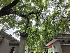 -莲湖公园