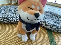 -柴犬小屋·柴餐厅·狗咖食堂(金鼎广场店)