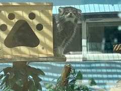 -青藏高原野生动物园
