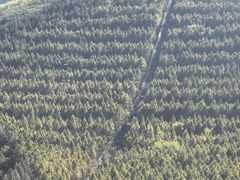 -帽儿山国家森林公园