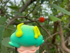 -道林古镇
