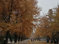 -辽宁大学(崇山校区)