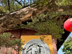 -龙华寺
