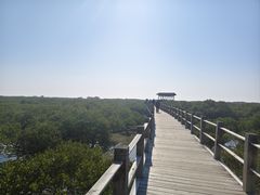 -北海金海湾红树林生态旅游区