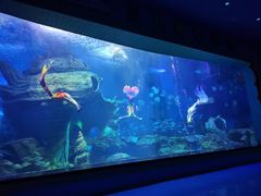 -多彩贵州城极地海洋世界