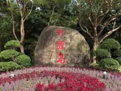 -野狸岛