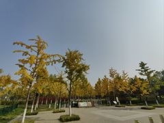 -北坞公园