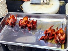 -鸽鸟轩(石岐店)