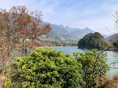 -广州市流溪河国家森林公园