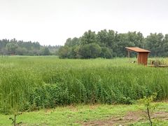 -东郊湿地公园