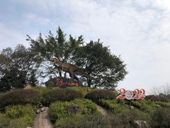 -自贡恐龙博物馆