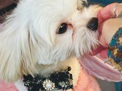 -佛山京华广场MALL