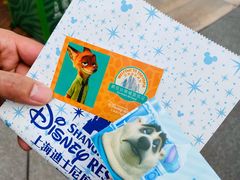 -上海迪士尼度假区