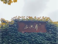 -三只耳火锅(宽窄巷子店)