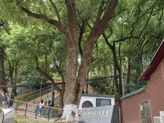 -马王堆汉墓遗址