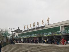 -白洋淀景区