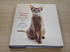 -日本大使馆-新闻文化中心