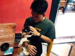 -猫色咖啡·猫咖