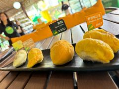 -榴莲BB 四季果园