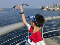 -东港音乐喷泉广场